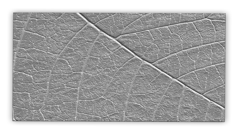 Relief_feuille